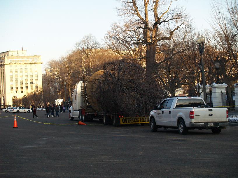 White House