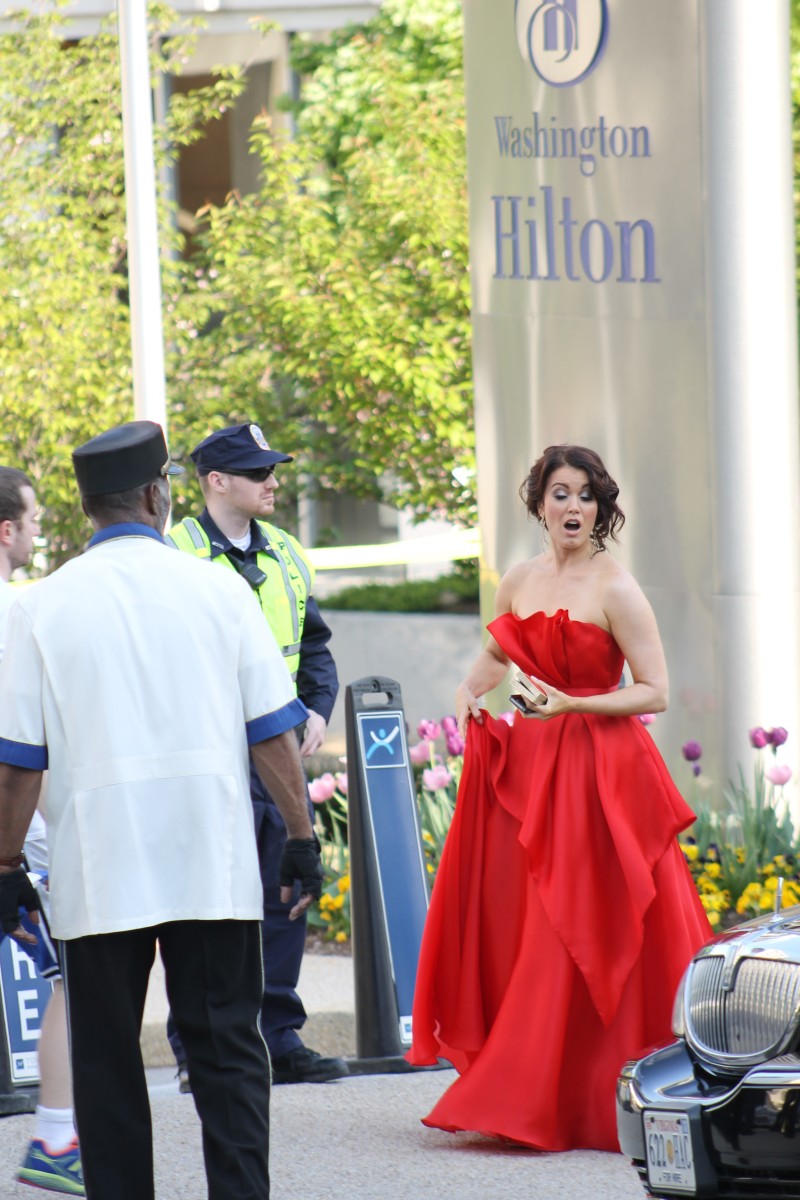 pictuer of bellamy young in dc